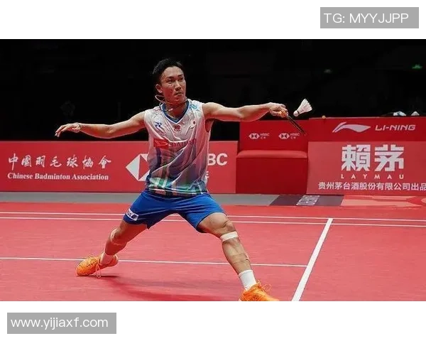 深圳羽毛球队战术对比深度解析与未来发展趋势探讨 深圳羽毛球队战术对比深度解析与未来发展趋势探讨