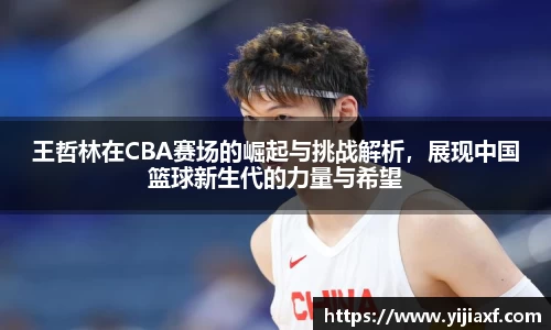 王哲林在CBA赛场的崛起与挑战解析，展现中国篮球新生代的力量与希望